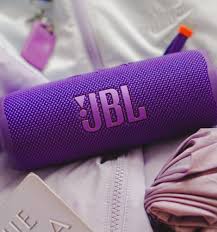 JBL Flip 7 (Pink + Purple)