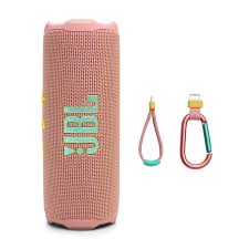 JBL Flip 7 (Pink + Purple)